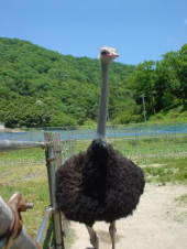 真的好吃〜!! 画像1