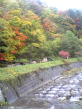 人に言われると 画像2