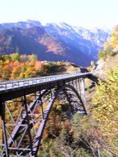 免許の更新 画像3