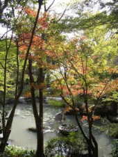 大山崎山荘 画像2