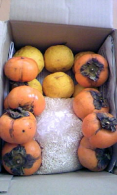 嬉しい贈り物♪ 画像1