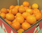 今度こそっ！(≧0≦)Ω 画像1