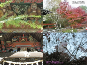 秩父長瀞日帰りバス旅行 画像3