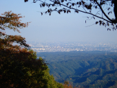 山歩き 画像3