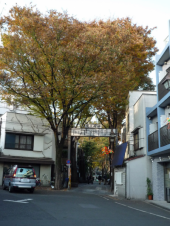 散歩しました。 画像2