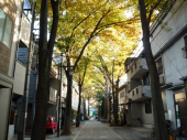 散歩しました。 画像3