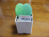 お買い物 画像2