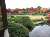 水曜／和風庭園の紅葉 画像3