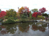 土曜／和風庭園の紅葉 画像1