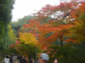 グラデェーション 画像1