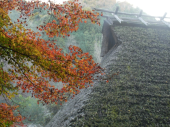 香嵐渓 画像3