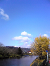 昨日の青空 画像2