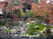 長岡京 画像2