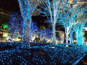 新宿サザンライト ^o^)/ 画像2