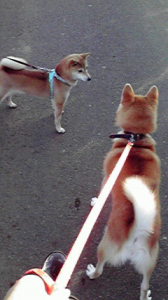☆お友達♪ 画像1