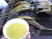 鰤街道まつりに行こう 画像3