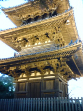 no title 画像2