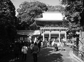 氷川神社　十日市(酉の市) 画像2