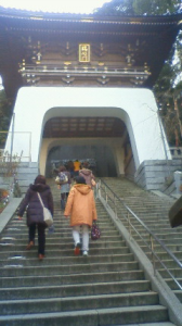 鎌倉へ 画像2