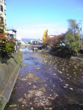 土・日 画像1
