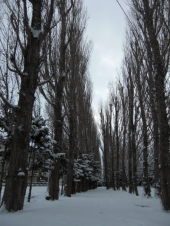 日曜／穏やかな朝 画像1