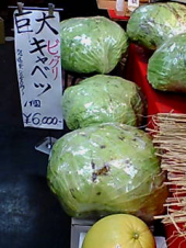 行って来ました 画像2