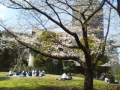 旧芝離宮恩賜庭園