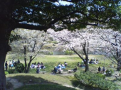 旧芝離宮恩賜庭園 画像3