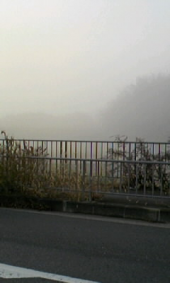 霧２　・・・@ In two days 画像2