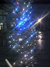 クリスマス♪イブイブ♪ 画像1