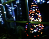 クリスマス・ウォーキング 画像2