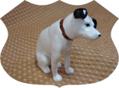 今だけ。。 画像1