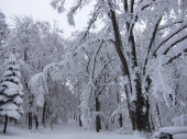 土曜／『吹雪後の公園』 画像3