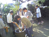 もちつき 画像1