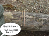 走り納め 画像3