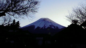 出掛けます。V(^-^)V 画像1