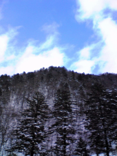 ゴロゴロ・ブクブク 画像1