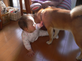 ただいま～　今日も快晴!!! 画像2