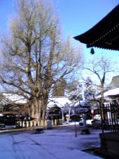 雪景 画像2