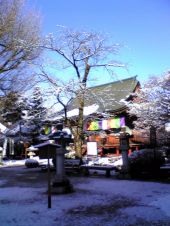雪景 画像3