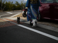 末娘の成人式