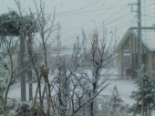 雪、大雪だ 画像1