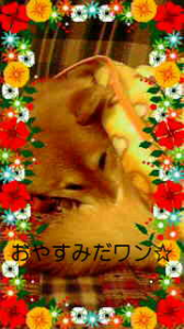 ☆へ（×_×；）へ ヘニョヘニョ・・・ 画像3