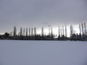土曜／雪の中公園 画像1