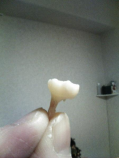 やっとお休み。。 画像2