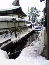 寒くて固まる 画像2