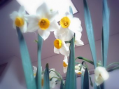 no title 画像2