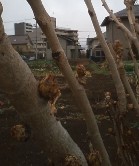 公開講座とおしゃべりと 画像3