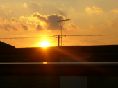 いい天気になりました。 画像1