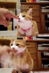 あれれ(・_・?)・・・から、やったぞ！ 画像1